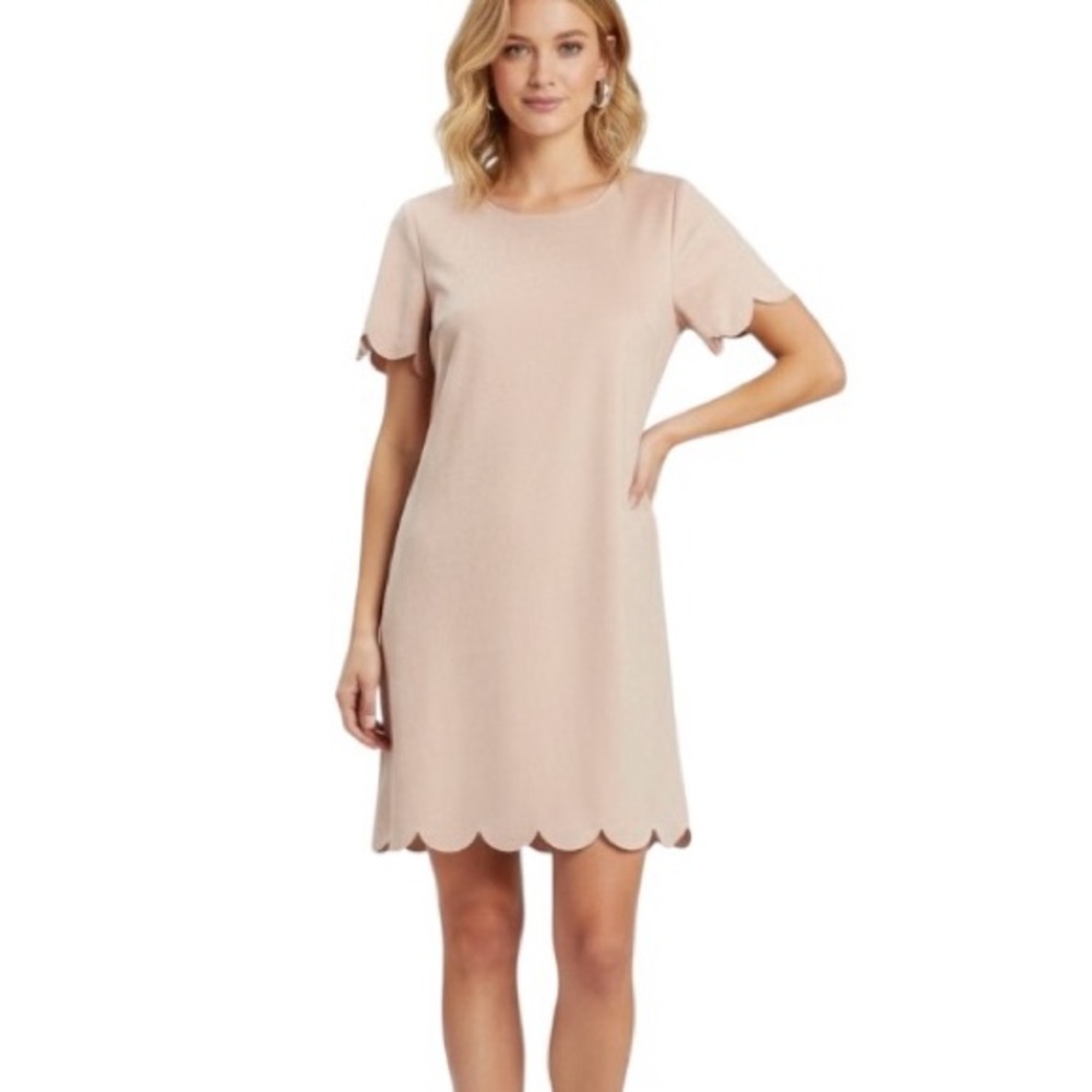 Altar’d State Pink Suede Scalloped Mini Dress Short Sleeve Shift M Feminine
